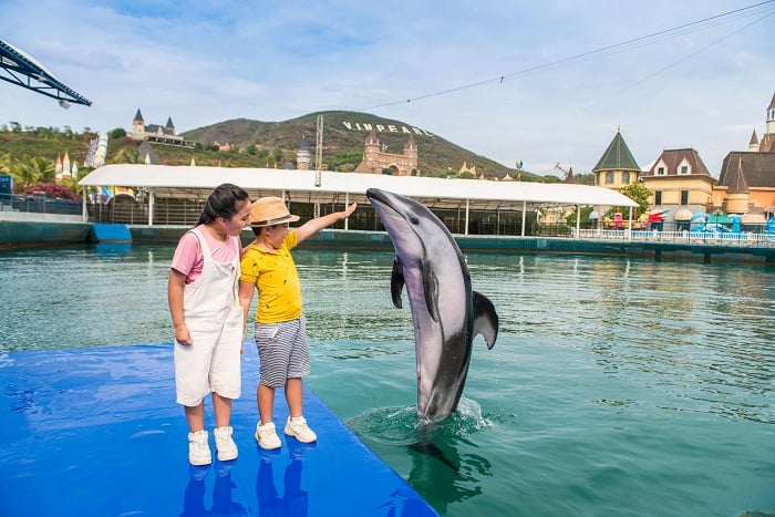 Sea World에서 돌고래의 사랑스러운 무대를 감상합니다