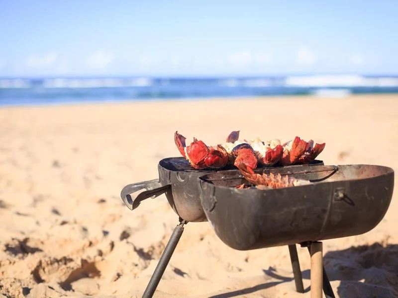 해변에서 BBQ 파티를 하는 것은 매우 흥미로운 경험입니다. (사진: 자료 사진)